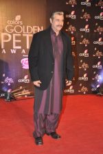 Puneet Issar at Colors Golden Petal Awards 2013 in BKC, Mumbai on 14th Dec 2013